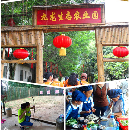 深圳農家樂一日游哪里好玩？觀瀾九龍生態園